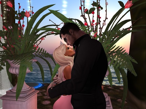 Web 56f4784fe85cda4c05000001