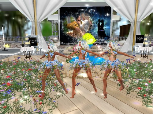 Web 56f6f0cde85cda06d5000001