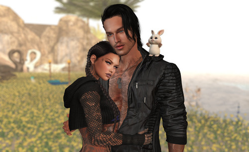 Web 663d33befa7073305141394c