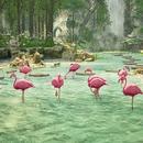 Thumb 61e99946a757b205c5d7e0dd