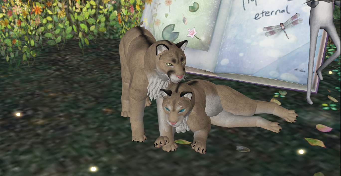 Original 55553166f8a1ec2ac4000001