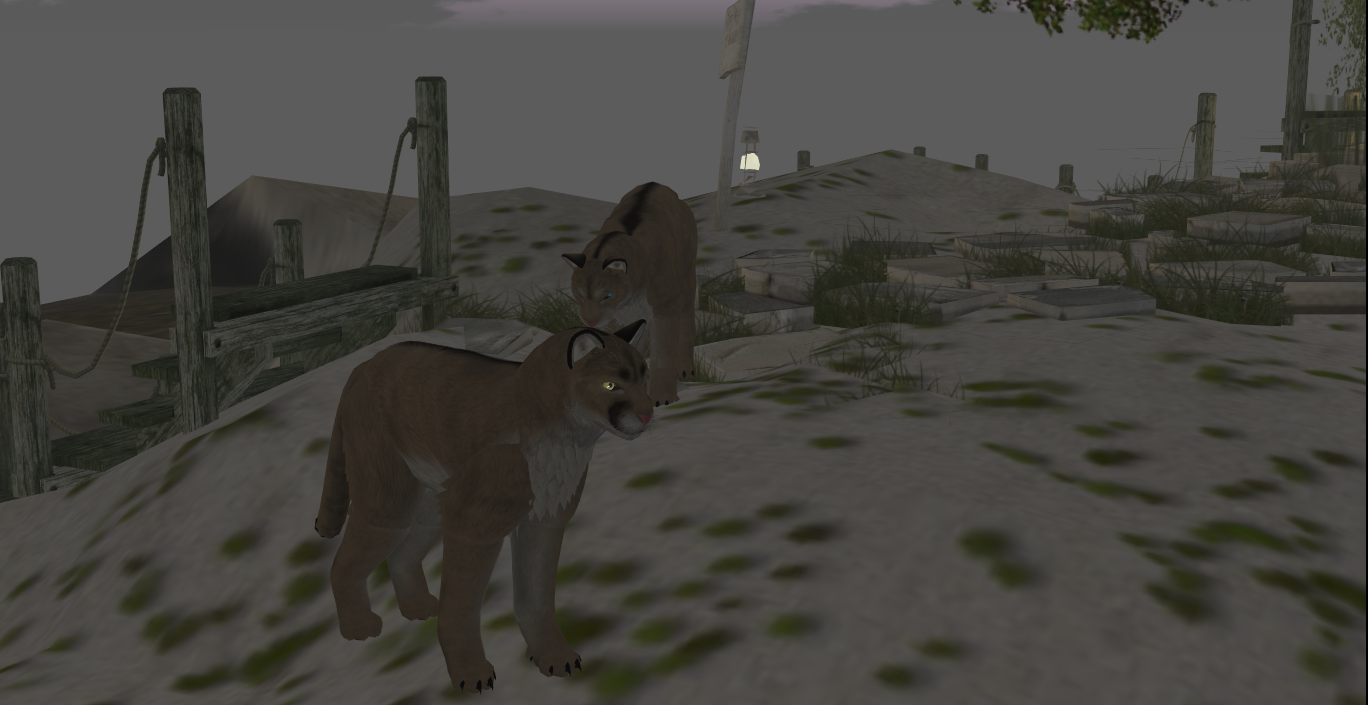 Original 55553779a73e210a79000001