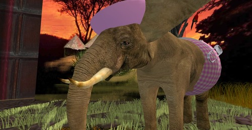 Web 548e1069128cc91d56000001