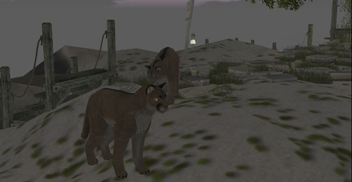 Web 55553779a73e210a79000001