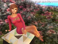 Small 58a81515e85cda60b2000001