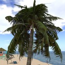 Thumb 530e3de1a73e2126b3000001