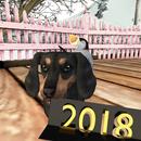 Thumb 5a491133d9859c1918000001