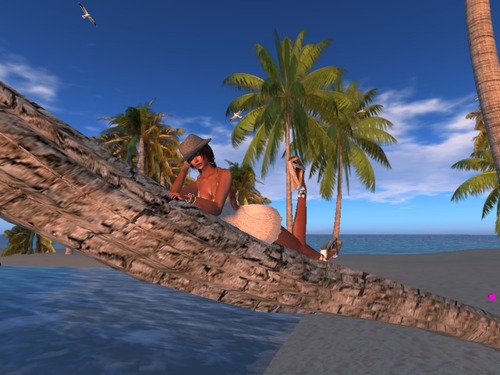 Web 530e40278da5721185000001