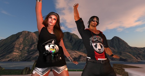 Web 533d4ca2128cc95396000001