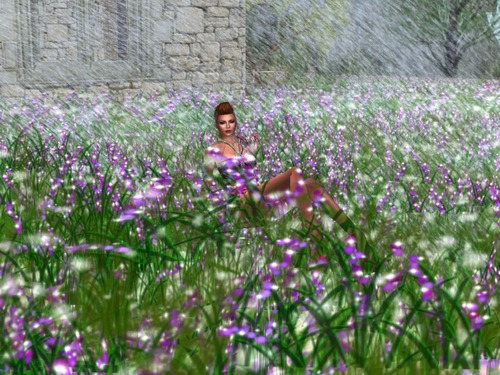 Web 534162a0f8a1ec08b0000001