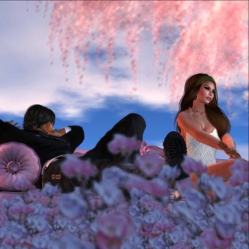 Web 53542caca73e2141d0000001