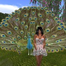 Thumb 51272e837daaf11325000001