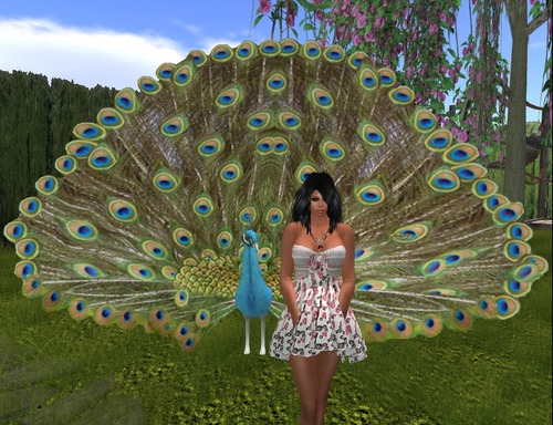 Web 51272e837daaf11325000001