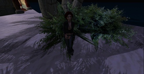 Web 50f4c1c7b9233342d9000001