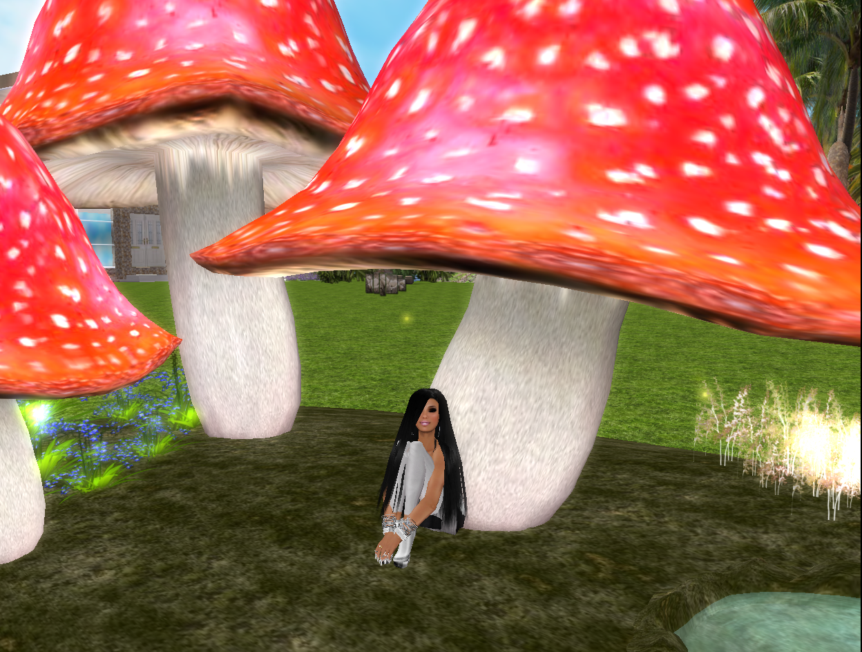 Original 51f6cb34c7244f4d1e000001