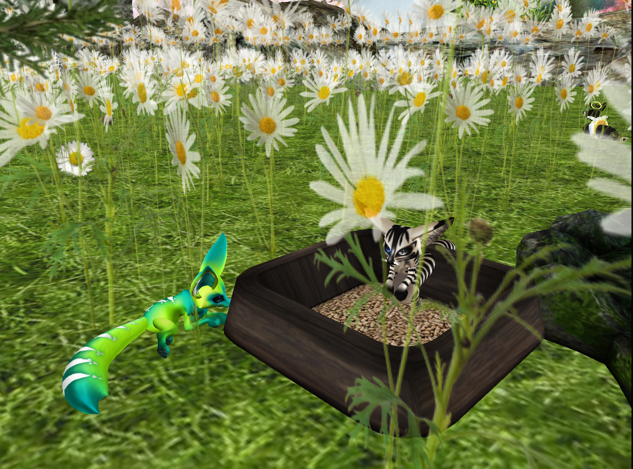 Original 520dfb1c6b9af15f07000001