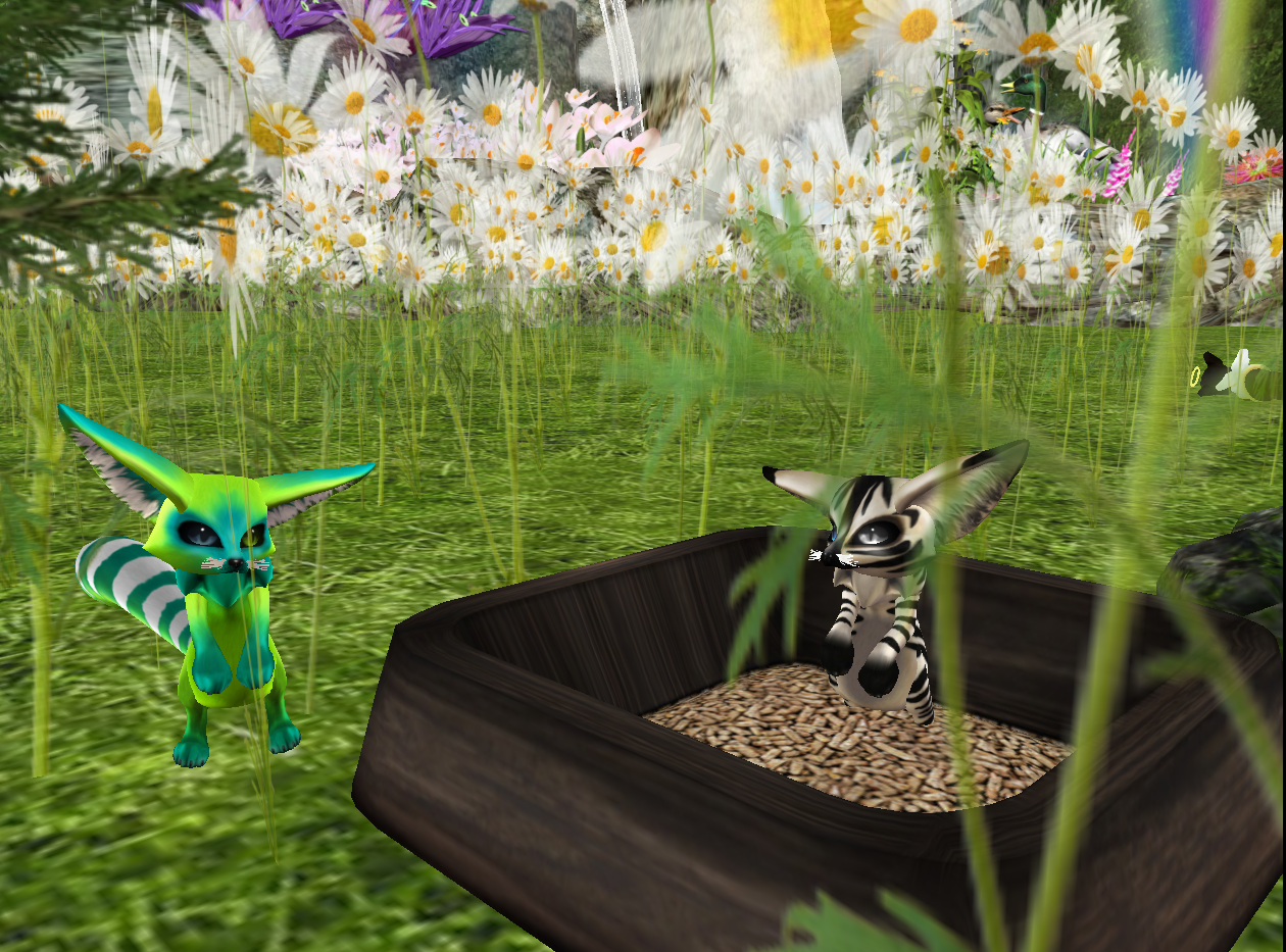 Original 520dfb89479cc67c6b000001