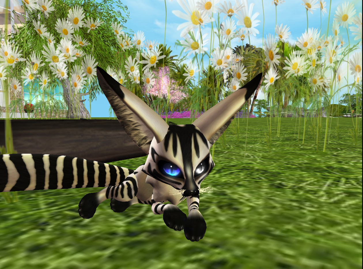 Original 520dfd49e5fbc45f67000001