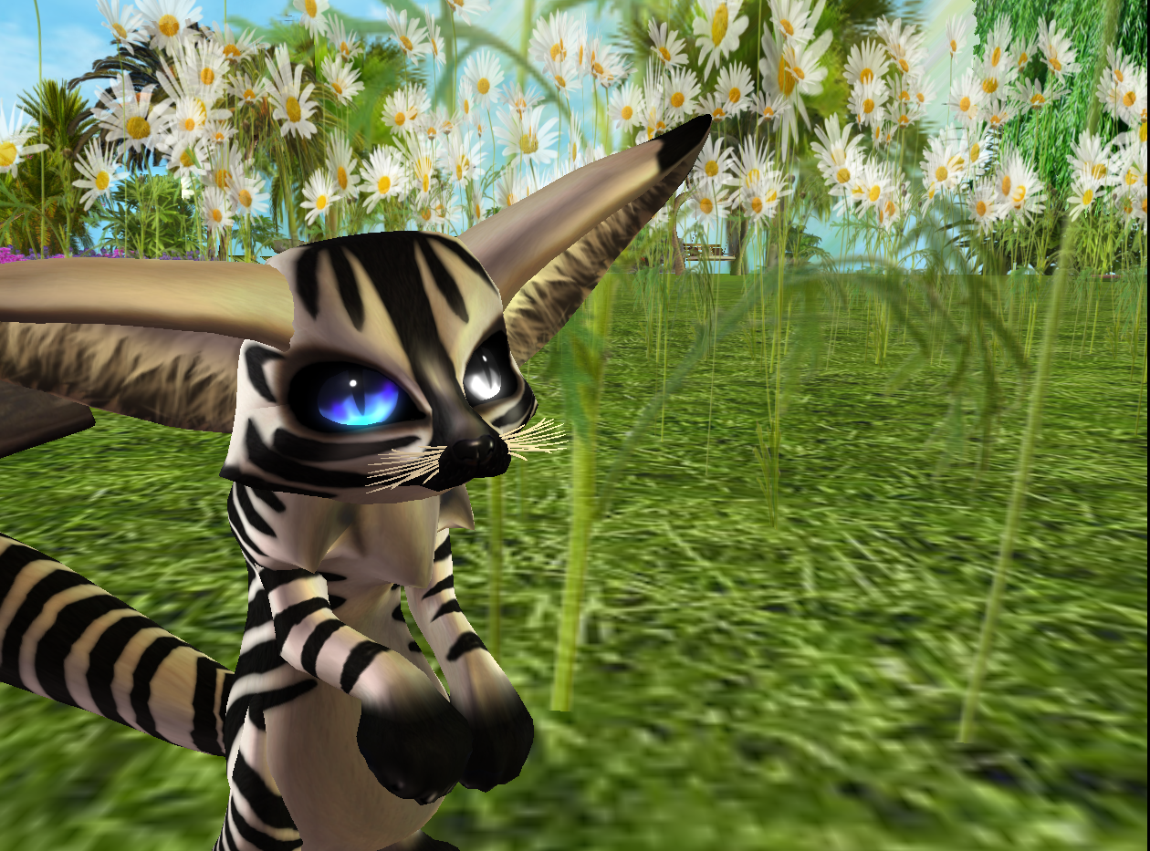 Original 520dfd921298003598000001