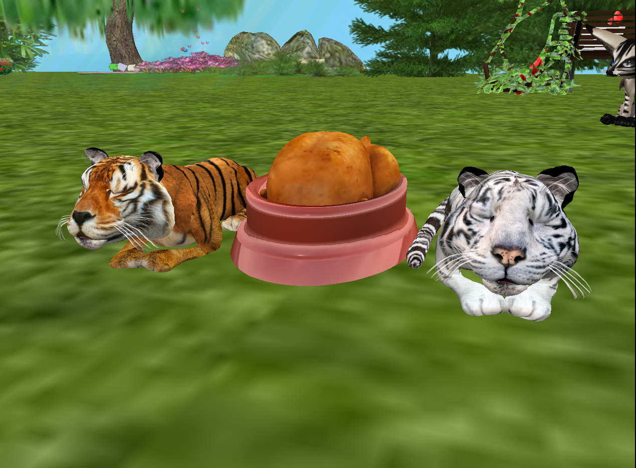 Original 521f74e61064837e88000001