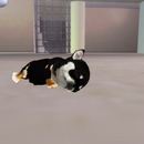 Thumb 51e92117d546f8385e000001