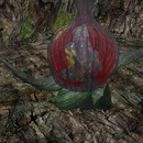 Thumb 51e9c2f0e0e20361c4000001