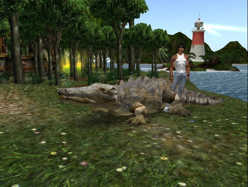 Web 51e9bee86934ff1b4d000001