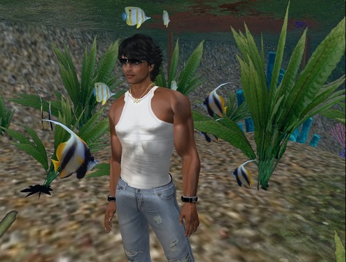 Web 51e9c1dde0e2035e70000001