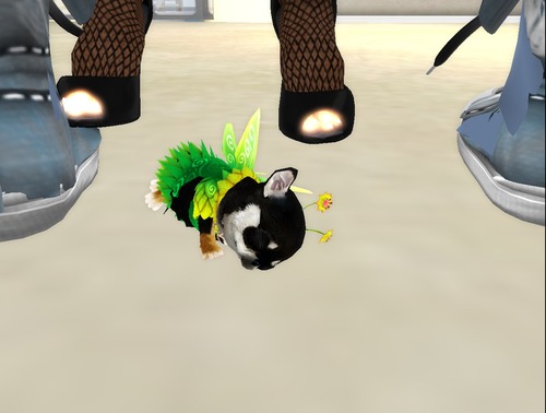 Web 51f2ae4e6443c27459000001