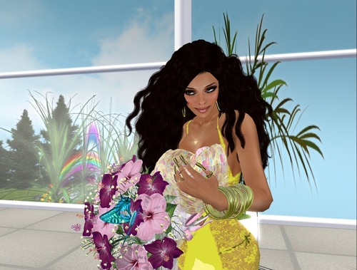 Web 51f95ac5884a924995000001