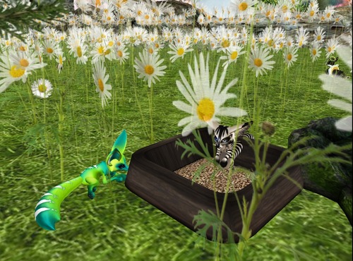 Web 520dfb1c6b9af15f07000001