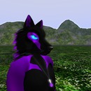 Thumb 5101e9488b97c96cb1000001