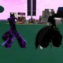 Thumb 512148ec586ce33369000001