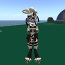 Thumb 5148de6323c5c26311000001