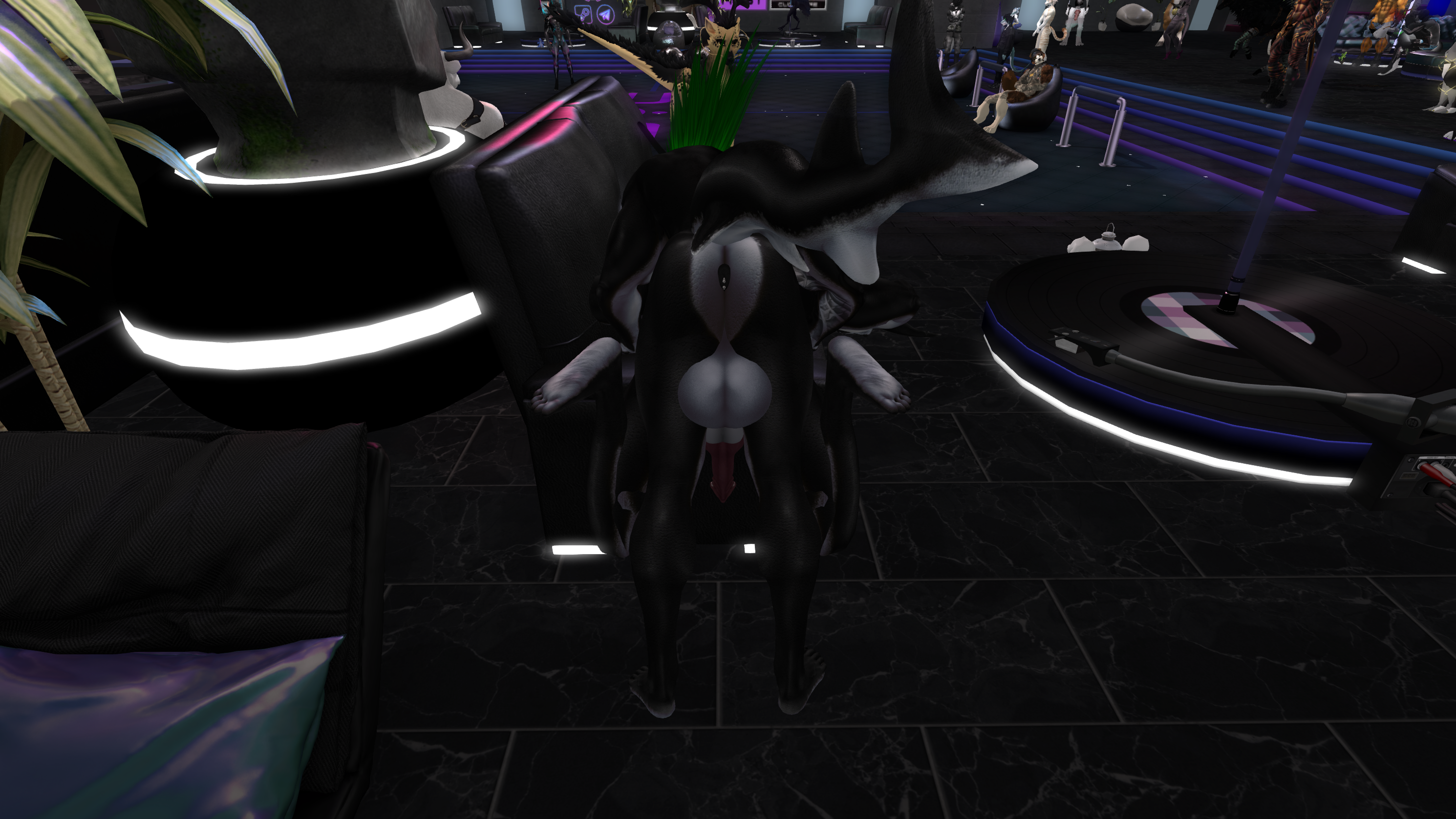 Original 65240922e556e90fbd2a029d