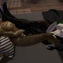 Thumb 62a58d6a49afba5c721aac37