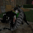 Thumb 64ea4cbc6402fa6b491822f9