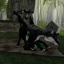 Thumb 64ea4d9968ef98403f7e79ee