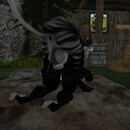 Thumb 64ea4e593e43df318384b153