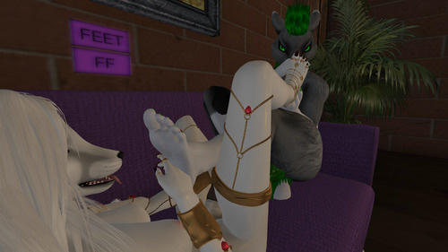 Web 641f69ca7f64dd4beaff9f6e