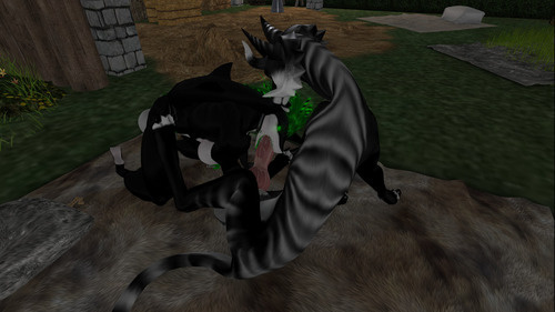 Web 64ea4c5bfa7b27670dd4871b