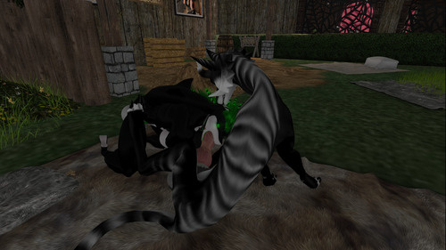 Web 64ea4cbc6402fa6b491822f9