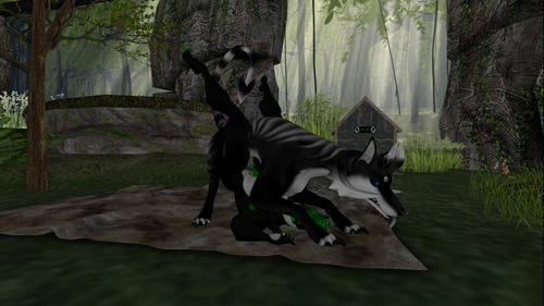 Web 64ea4d9968ef98403f7e79ee