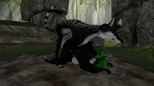 Web 64ea4e3f95dcc945184c7984