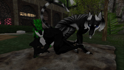 Web 64ea4ecbd9c68f3f3a018553