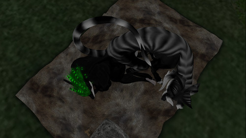 Web 64ea4f1fb8fde75ec6881eb6