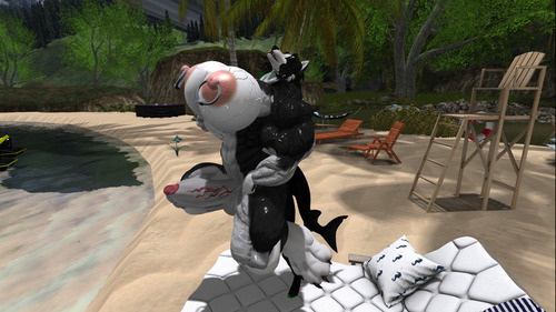 Web 6506af25fa7b2701d5d4871b