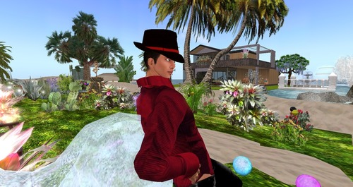 Web 50d8ce7ce67db26a9c000001