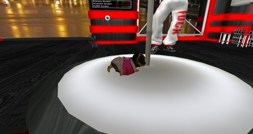 Web 50f81ceea0eb065b05000001