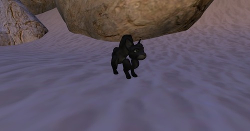 Web 50fce816c1640e5655000001